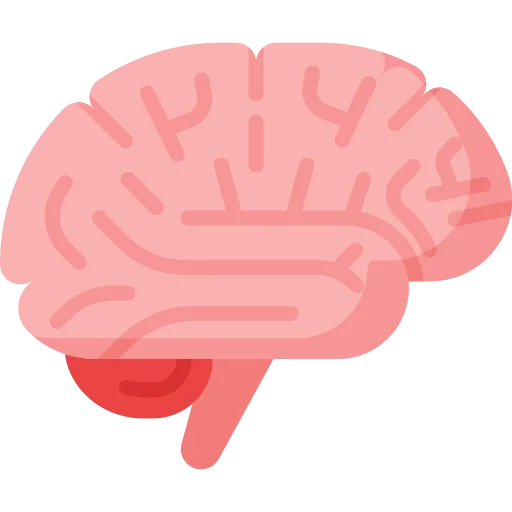 Neurology Medical Billing Service