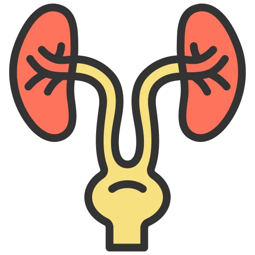 Urology Billing Services