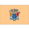 New Jersey Flag